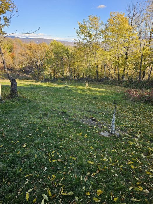 Vând loturi intravilane!