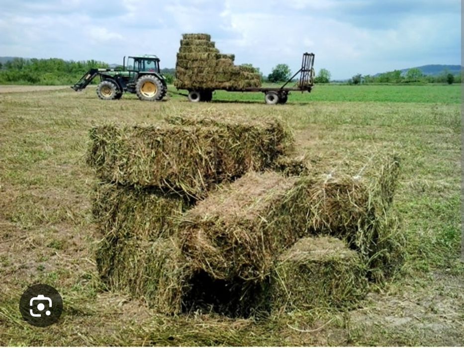 Vând 30 baloti lucernă
