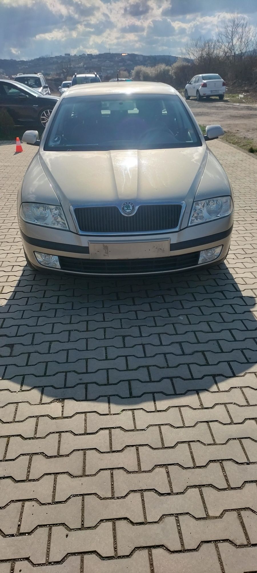 Scoda Octavia 1,9 diesel