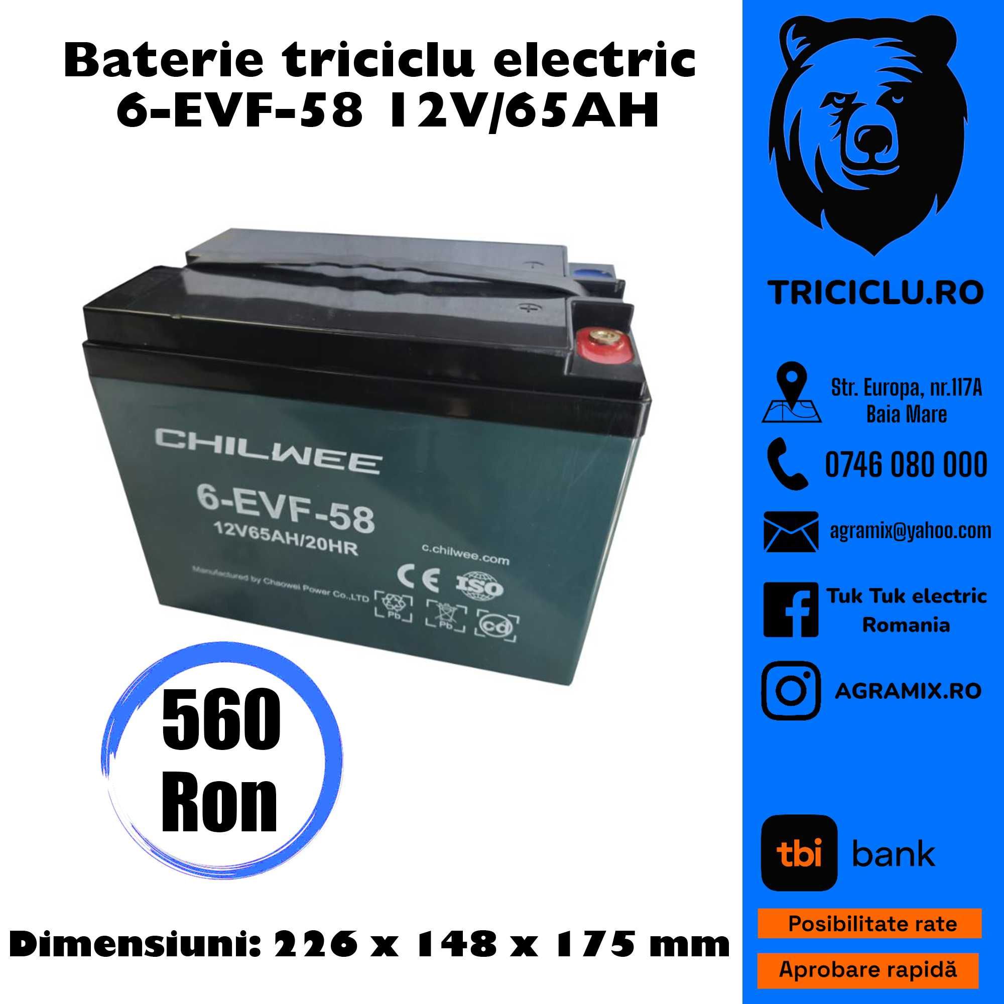 Baterii compatibile cu marca THOR de tricicluri electrice NOI Agramix