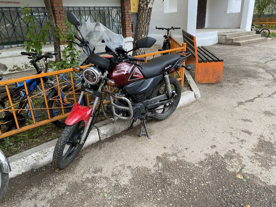 Peda Shark 125кубов