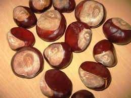 Castane necomestibile pentru uz extern,medicinal(infuzii,tincturi)