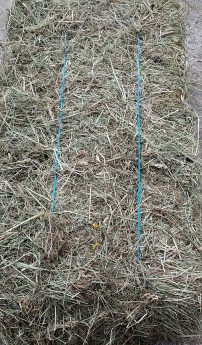 Baloți fân de gradina