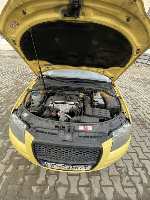 Audi A3 8PA  2005 Panoramic