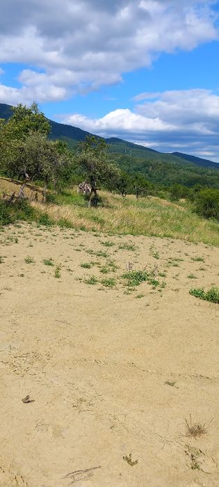 Teren montan de vanzare