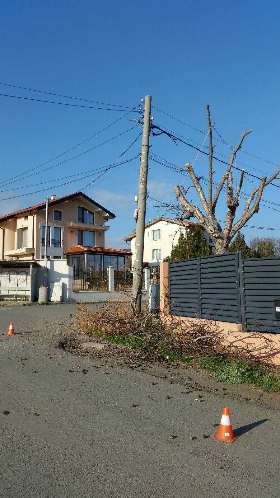 Премахване на опасни дървета Кастрене по алпинистки метод. Арборист.