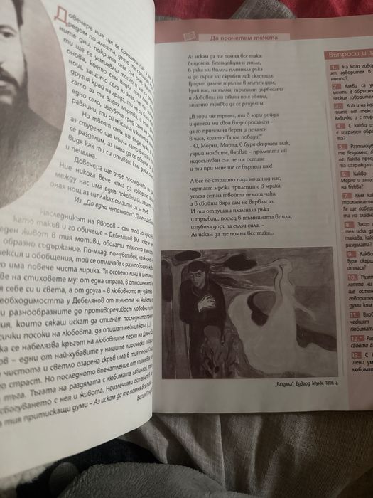 Учебник по литература за 12 клас