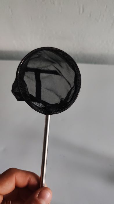 Minciog special puiet , creveti,larve