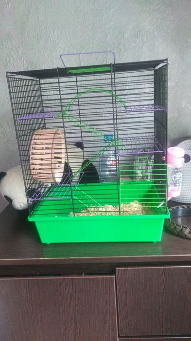 Продам клетку вместе с хомячком.