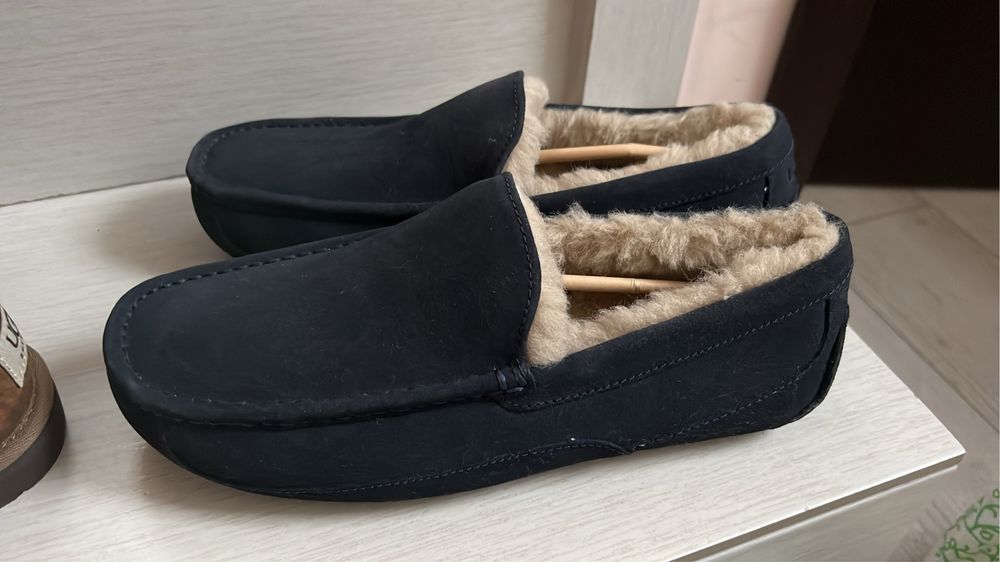 Pantofi Ugg barbati