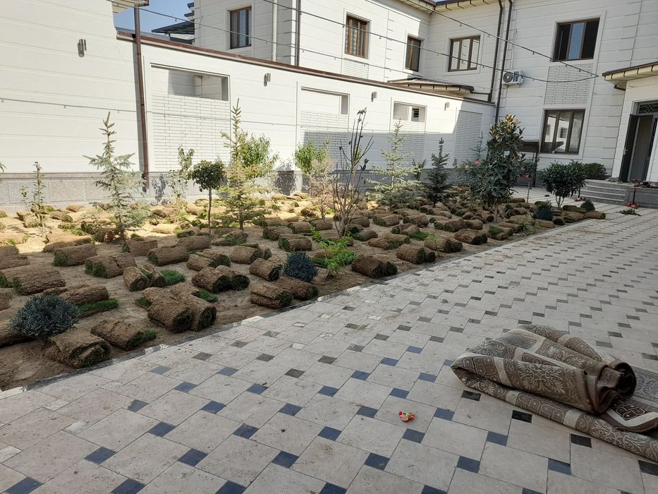 Gazon ekish lanshaft