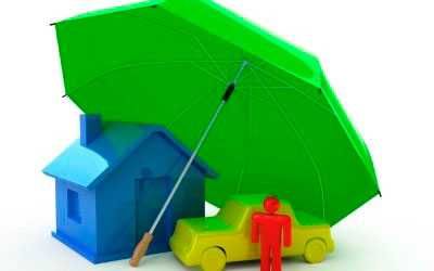 Broker de asigurare/credite/leasing  |  Asistent in brokeraj