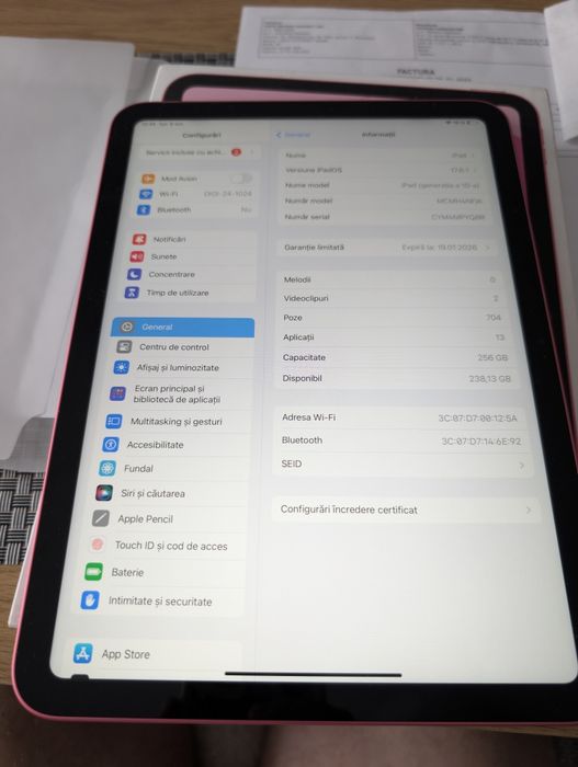 Ipad 10th generation 2025 256 GB Pink