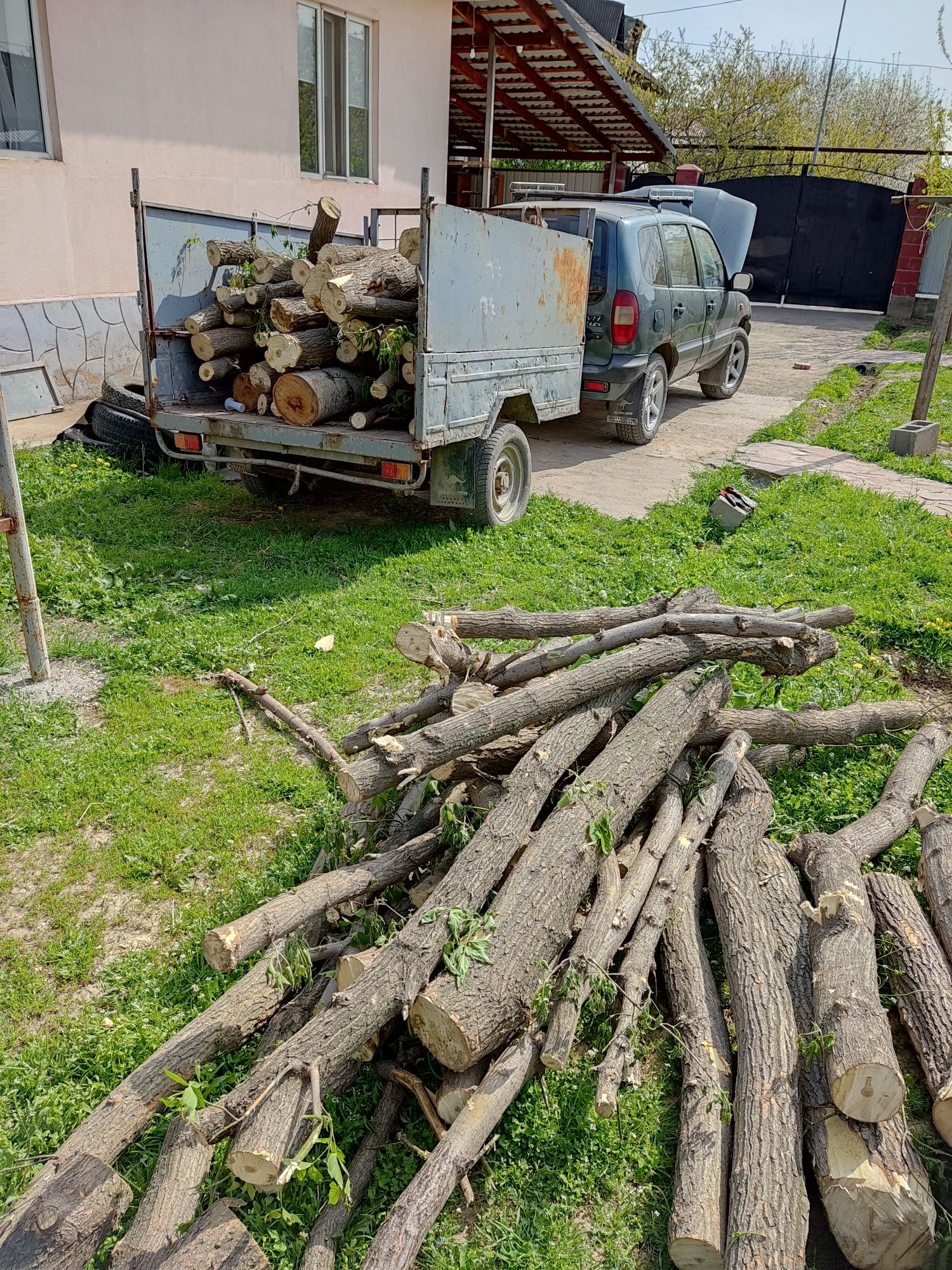 Дрова очень много дрова