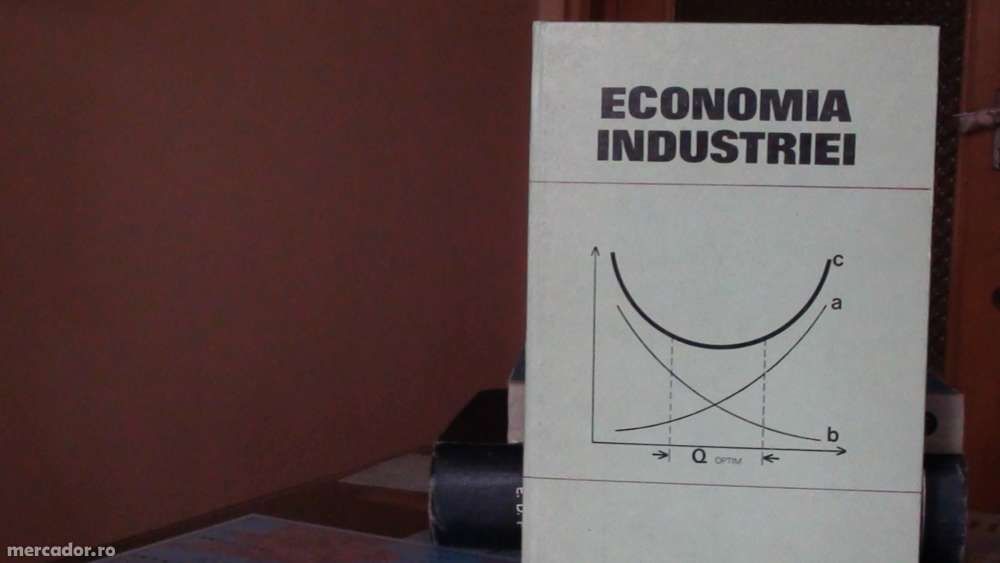 Economia Industriei