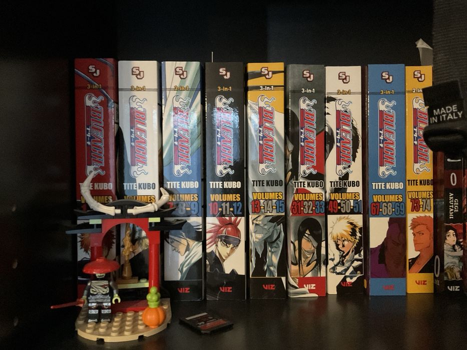 Bleach manga.