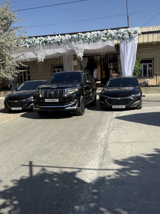 Kortej Mers Tayota Malibu 2 xizmati