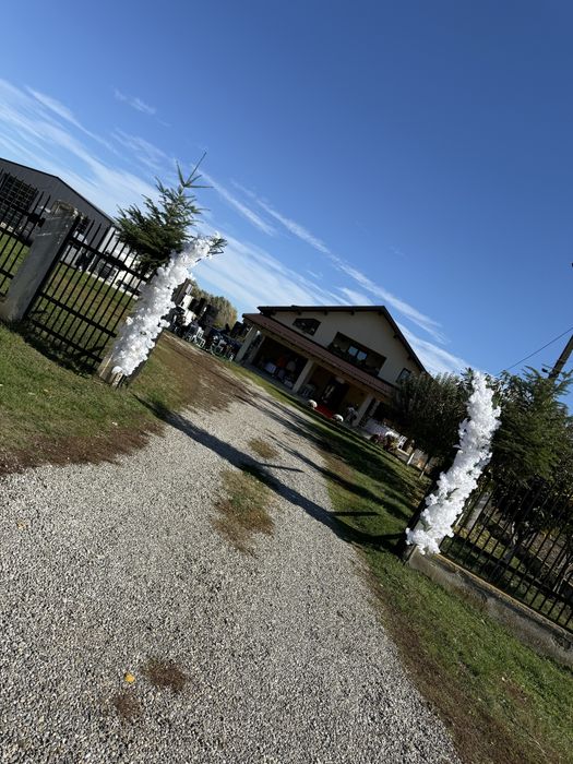 Arcade florale de inchiriat