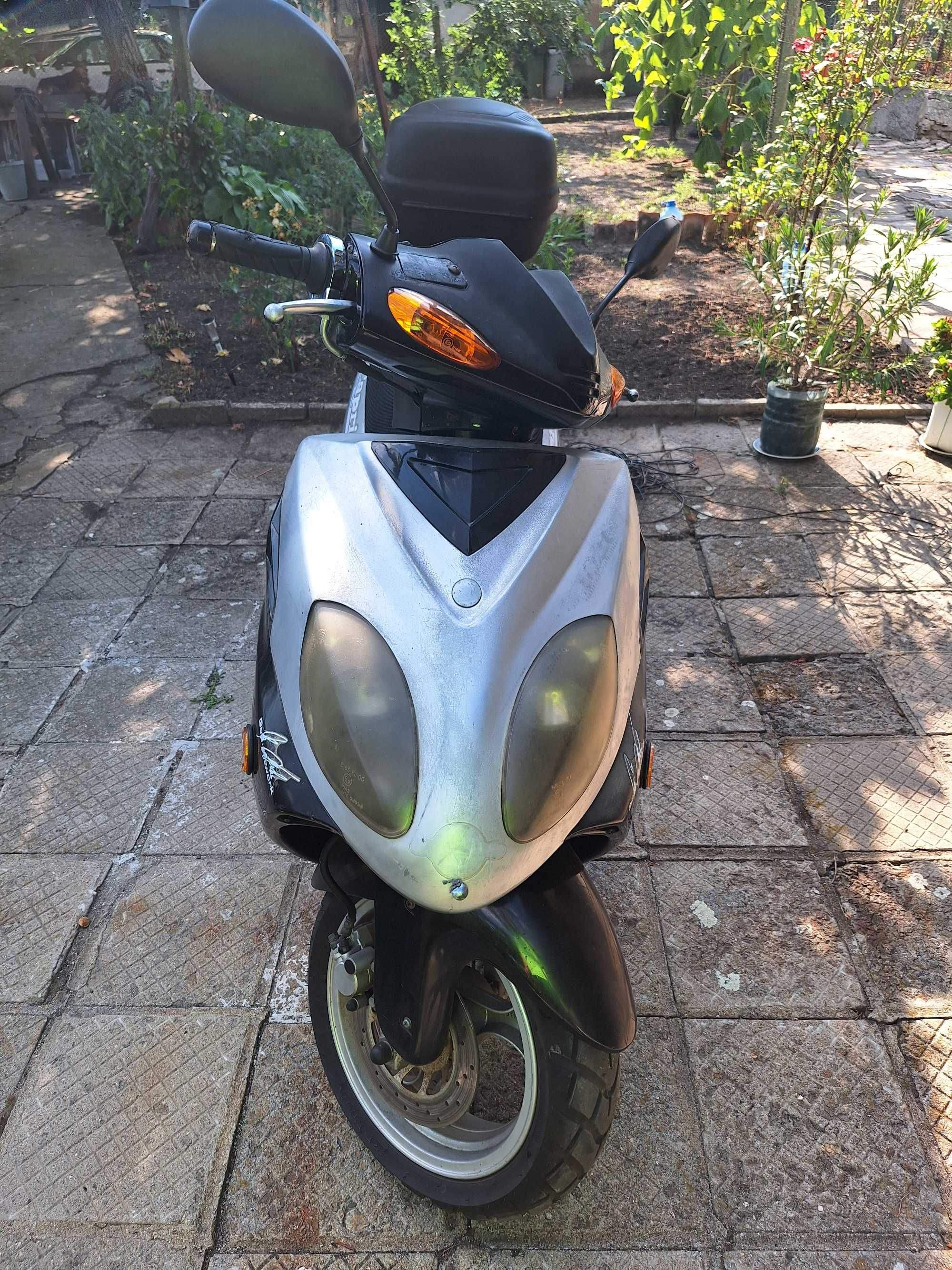 Rex capriolo 125
