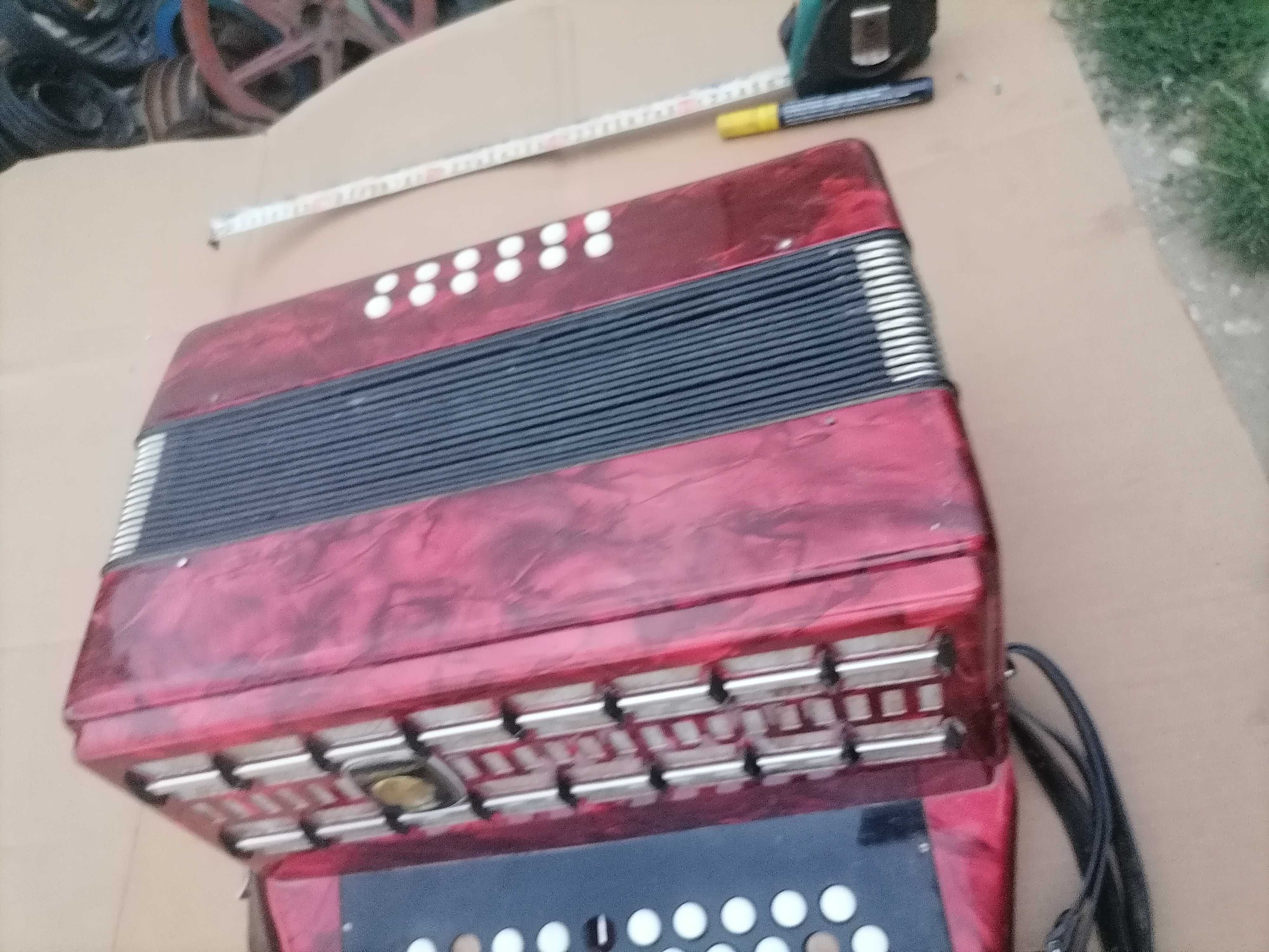 Acordeon copii weltmeister