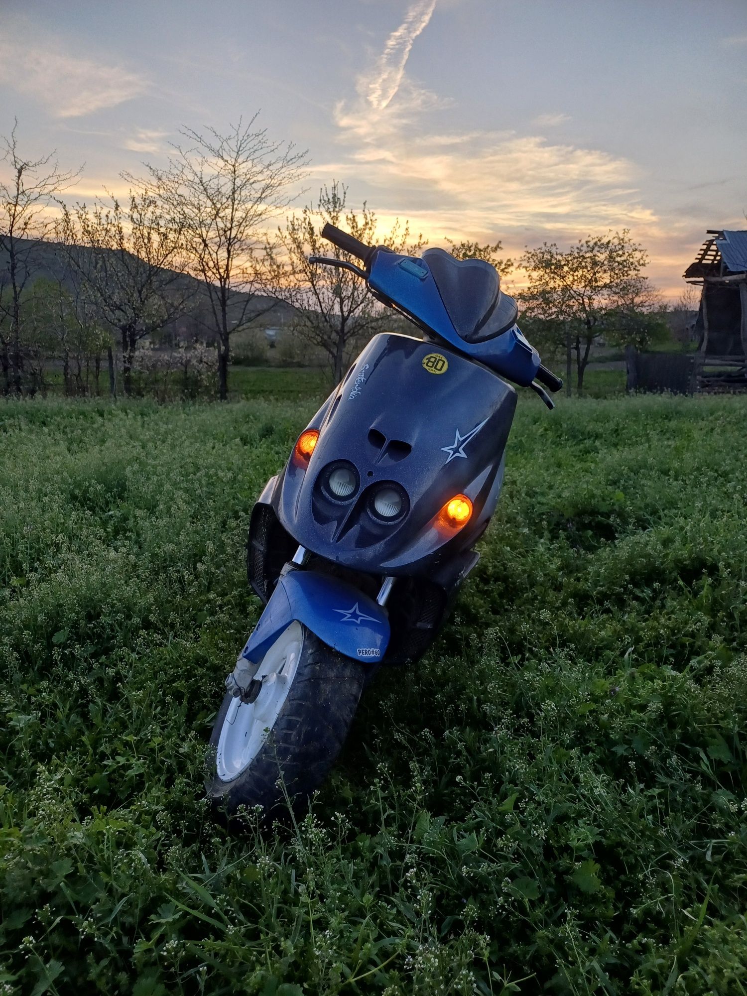 Scuter malaguți f12