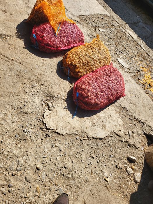 Vand nuci producție 2025