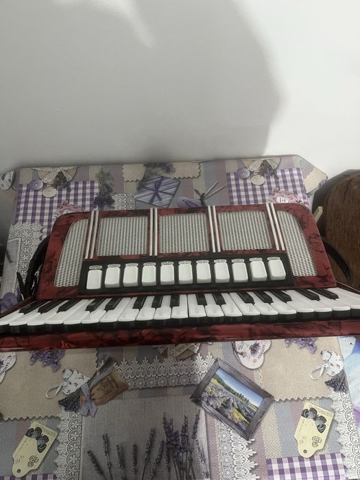 Acordeon Delicia