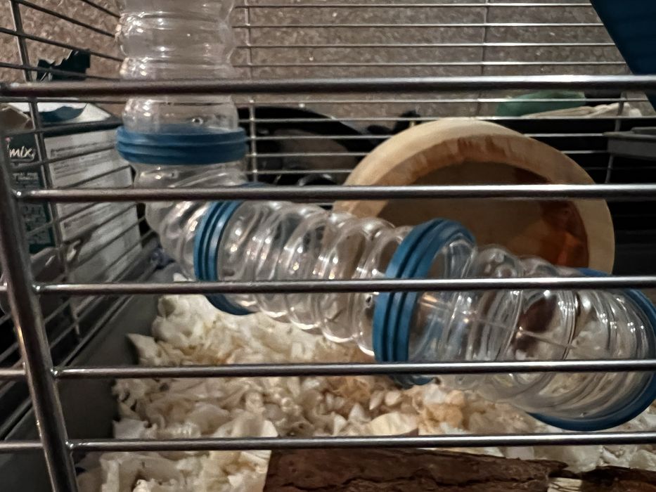 Hamster si cusca