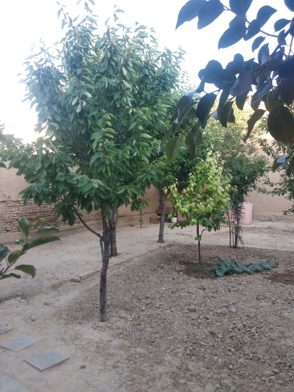 Ijaraga quruq yer beriladi