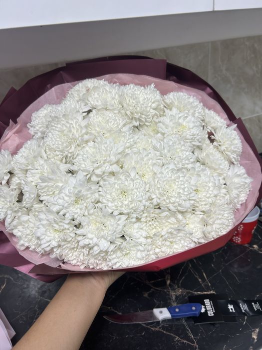 Хризантема белый большой
