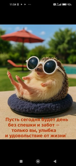 Продам плакат ежика