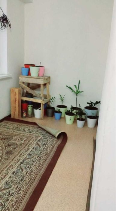 Сергили янги хаёт ижарага квартира бор