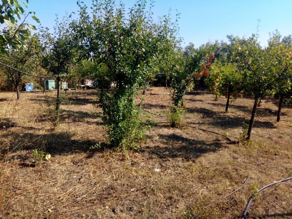 Vand casa Negreni Pitesti Slatina