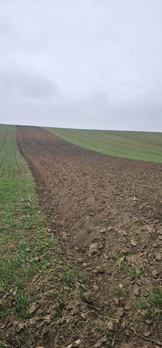 Teren extravilan 9000 mp pe deal, langa iaz – Stăuceni, Botoșani