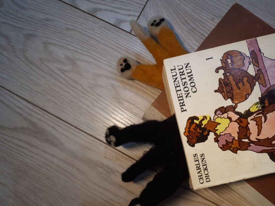 Semne carte lucrate manual