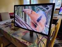 Vand Monitor LED IPS Dell 27" P2715Q UltraHD 4K, HDMI, DisplayPort