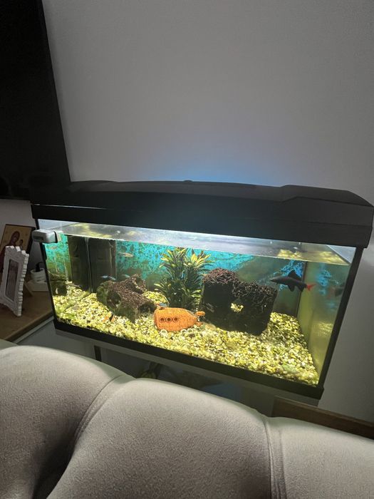 Acvariu 54l cu mobilier si pesti