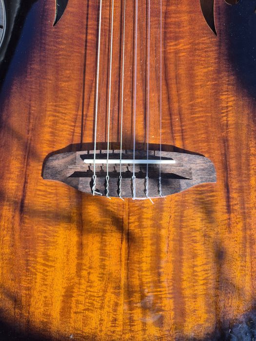 Ortega Tour Player Deluxe RTPDLX-ACA chitara electro-clasica