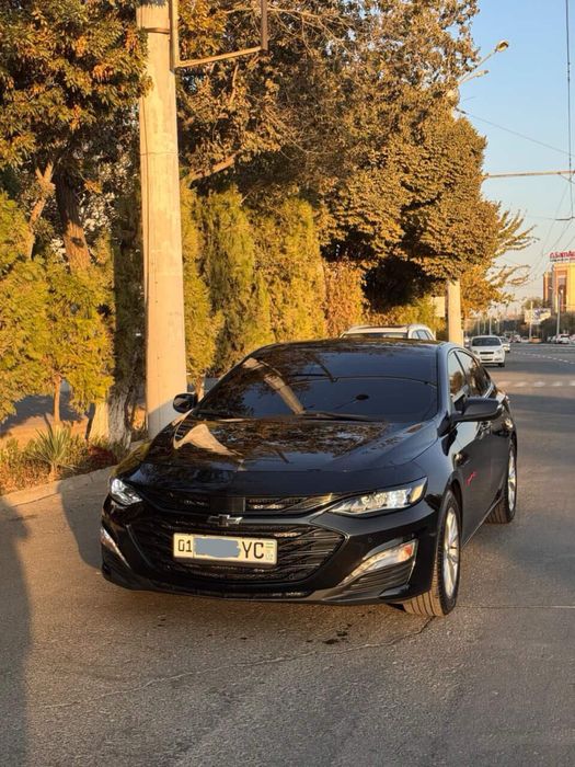 Malibu xl 2024 tex pasport