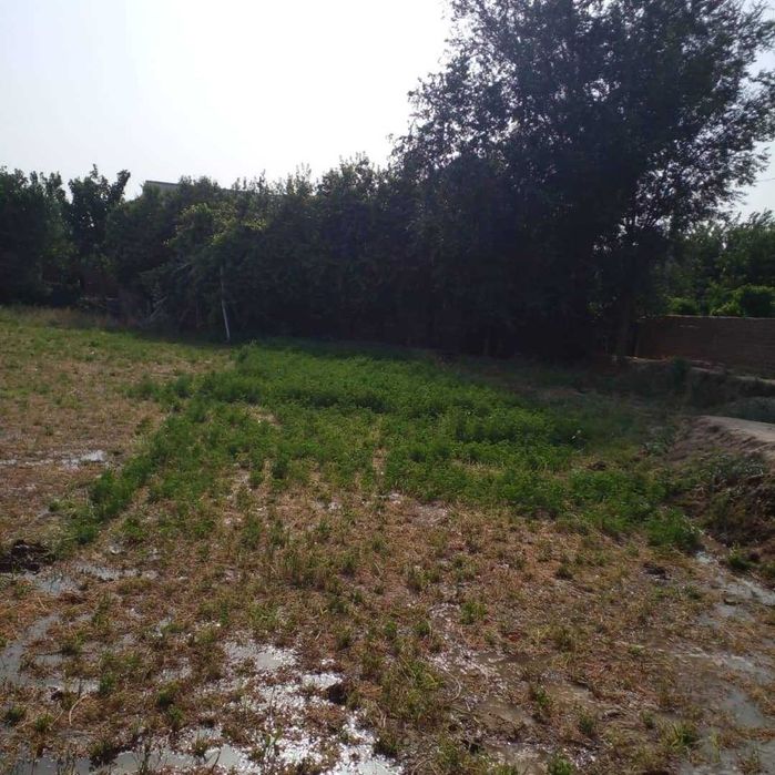 uy sotiladi 15 gektar maydondagi uy