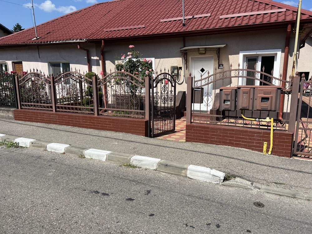 Vand porti si garduri din fier forjat