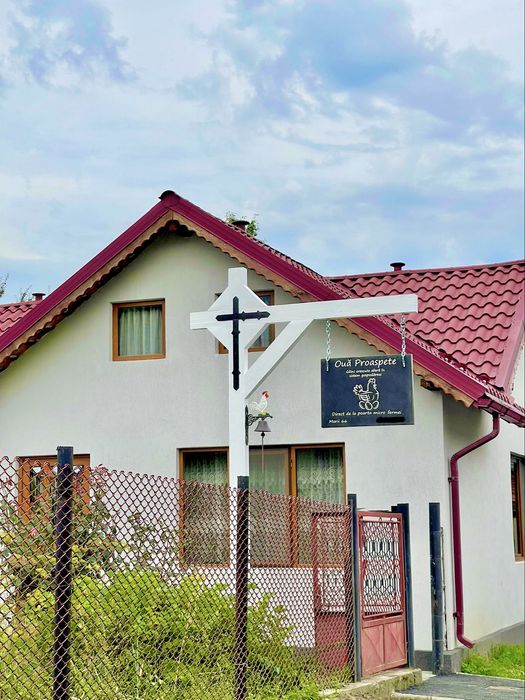 Vand Oua Proaspete De Casa Gaini Crescute Cu Mancare Premium