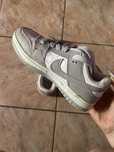 Nike Dunk low pro