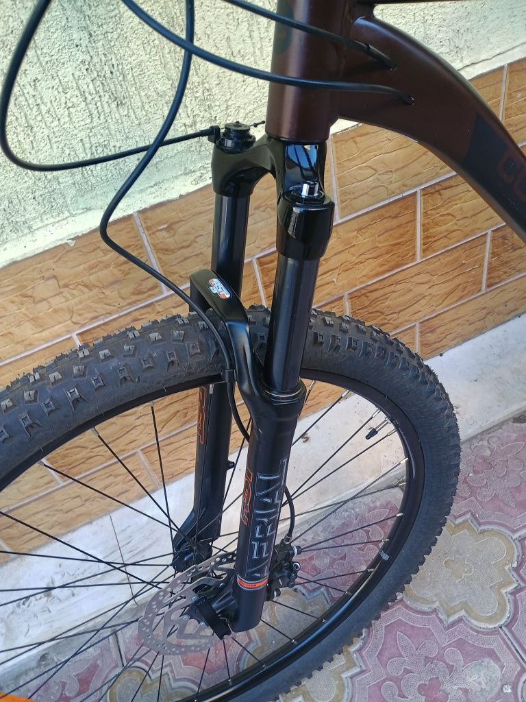 Companion 29 цола XL