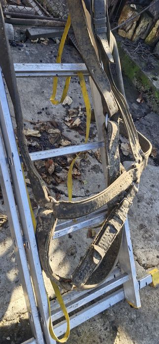 plug, grapa, marcator, prasitoare pentru cal