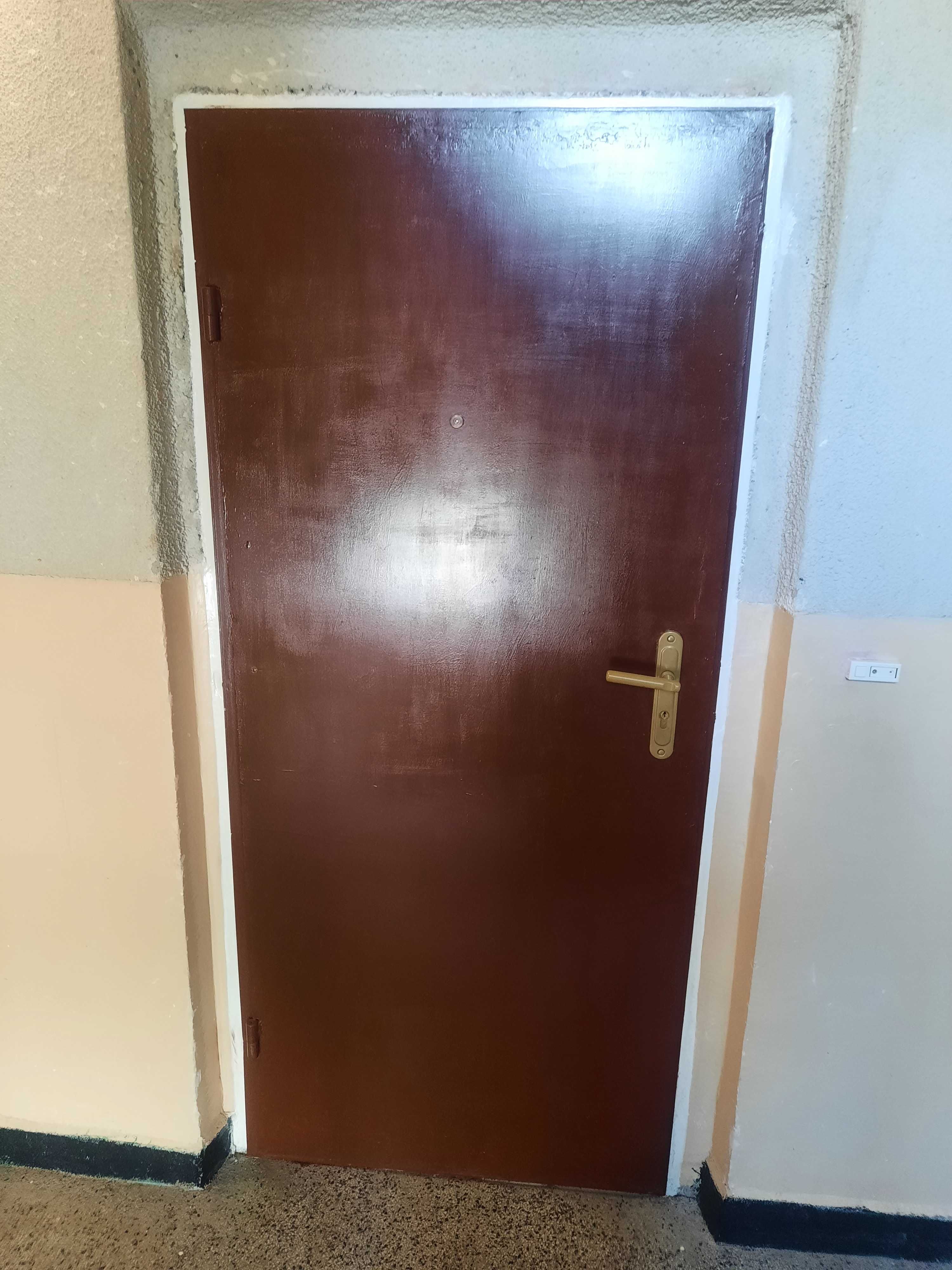 Входна метална врата