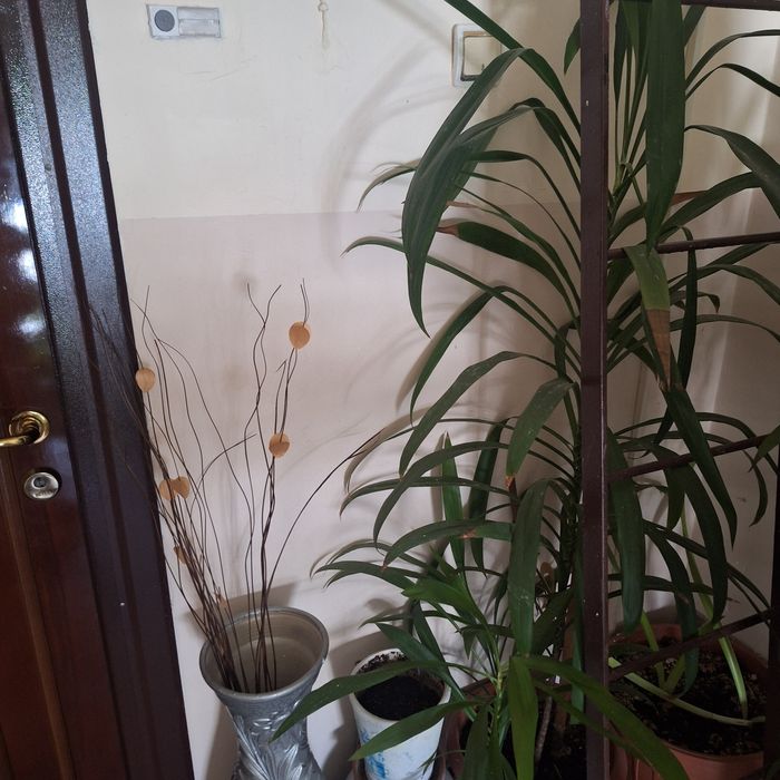 2 camere Trivale confort 1
