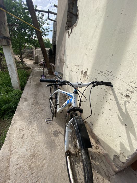 velosiped holati yanggi