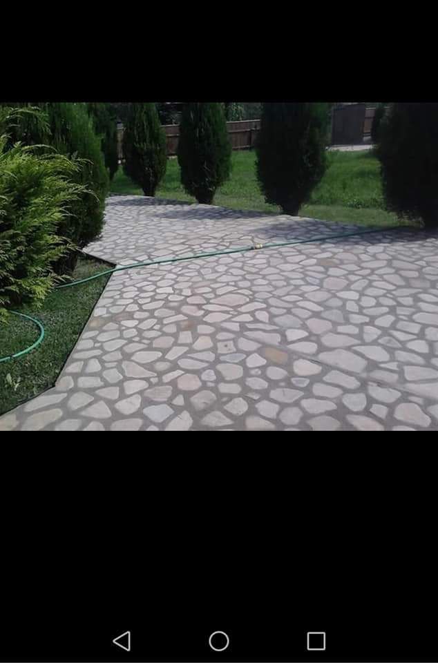 Când piatra si plantez plante ornamente