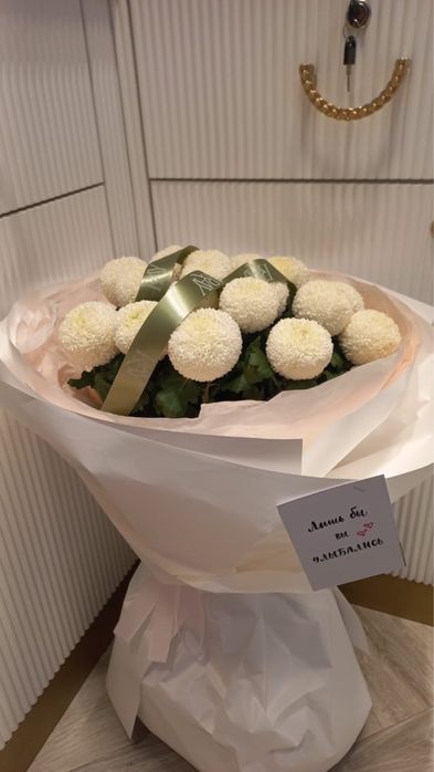 шаровые хризантемы очень свежие новенькие